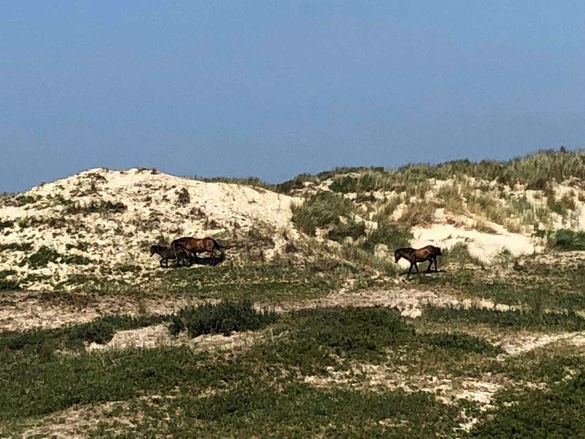 Sommerhaus Glucklich Am Meer 2 Mit Wellnesszugang Egmond aan Zee Exterior photo